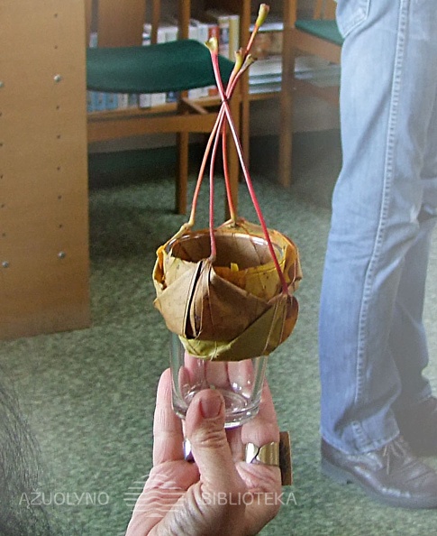Renginioakimirkos11.jpg
