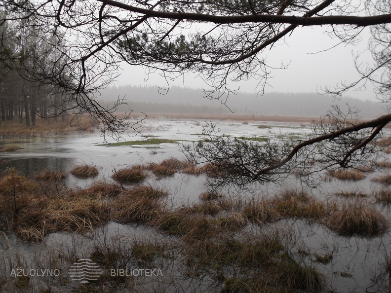Tirpstanti žiema V.Korn fotofrafijoje