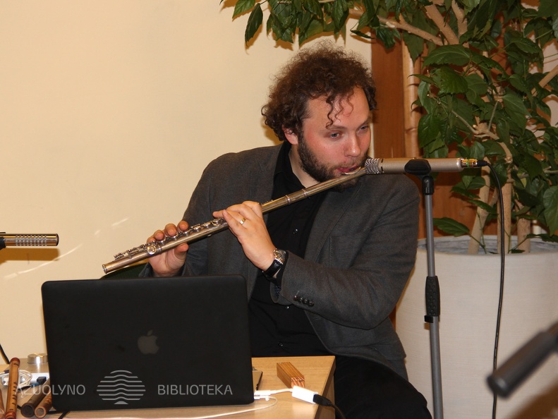 Multiinstrumentalistas Saulius Petreikis