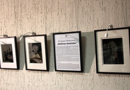 Mindaugo Meškausko parodos eksponatai