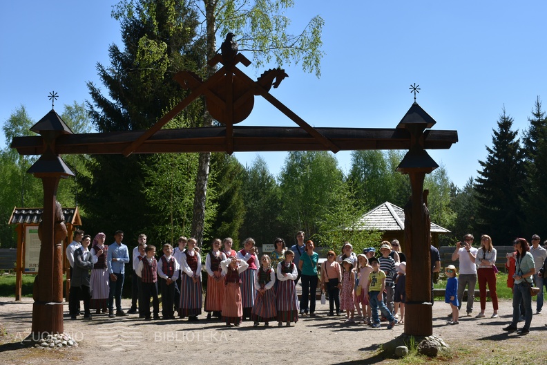 DSC_0027.JPG