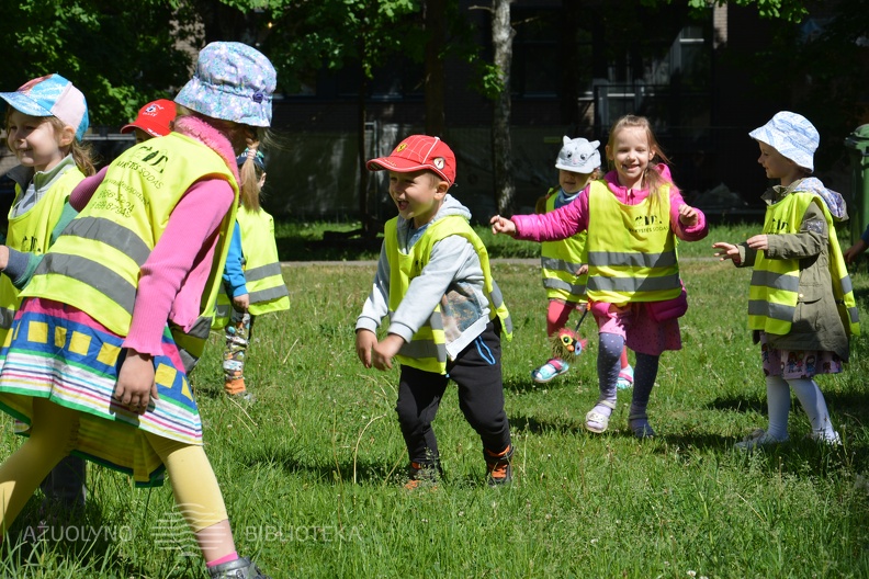 06peledziuko_sapnas_06.JPG